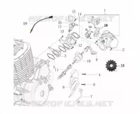MOTOR / INJECTION / GEAR CHANGE PEDAL