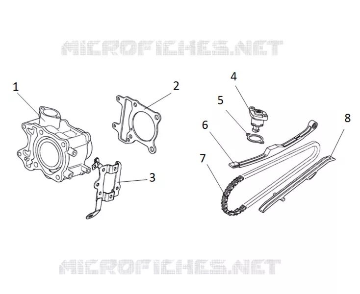 CYLINDER / TIMING CHAIN