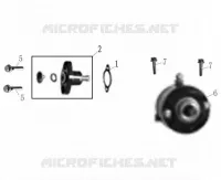 STARTER MOTOR / TIMING