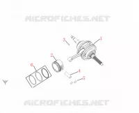 CRANKSHAFT / PISTON