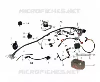 WIRING HARNESS