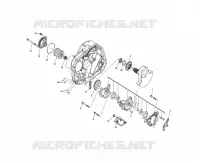 OIL PUMP / OIL FILTER