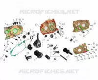 CRANKCASE / CRANKSHAFT