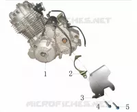 ENGINE / FRONT SPROCKET COVER
