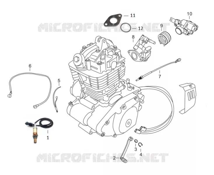 THROTTLE BODY / GEAR CHANGE PEDAL