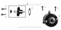 STARTER MOTOR / TIMING