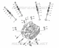 CYLINDER HEAD / VALVES
