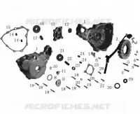 LEFT CRANKCASE COVER / STATOR