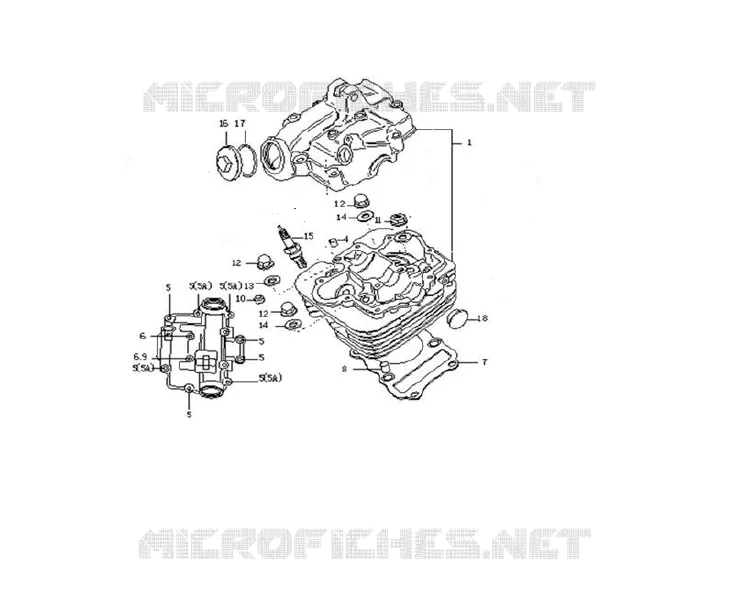 CYLINDER HEAD / SPARK PLUG