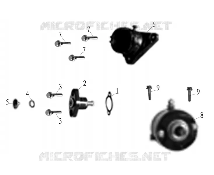 STARTER MOTOR / TIMING