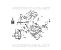 ENGINE / CARBURETOR