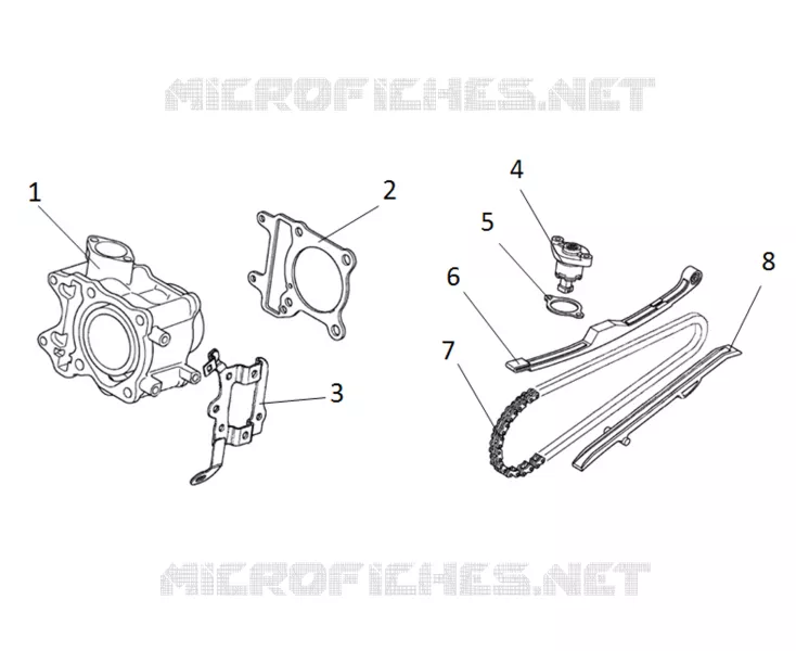 CYLINDER / TIMING CHAIN