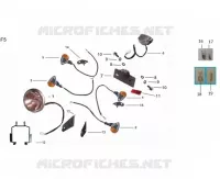 TAIL LIGHT / HEADLIGHT / INDICATORS