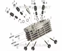 VALVES / SPARK PLUG