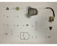 STARTER MOTOR / RIGHT CASING