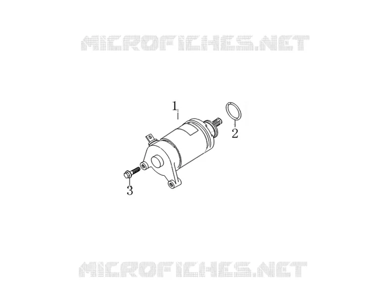 STARTER MOTOR