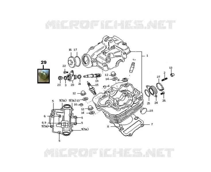 ENGINE / CARBURETOR