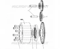 FREEWHEEL