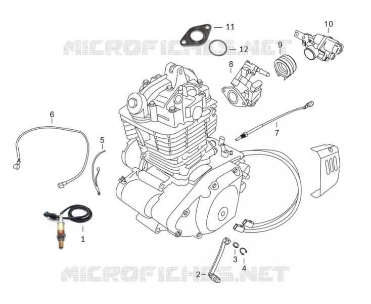 THROTTLE BODY / GEAR CHANGE PEDAL