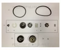 V-BELT / VARIATOR