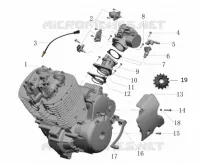 MOTOR / INJECTION / GEAR CHANGE PEDAL