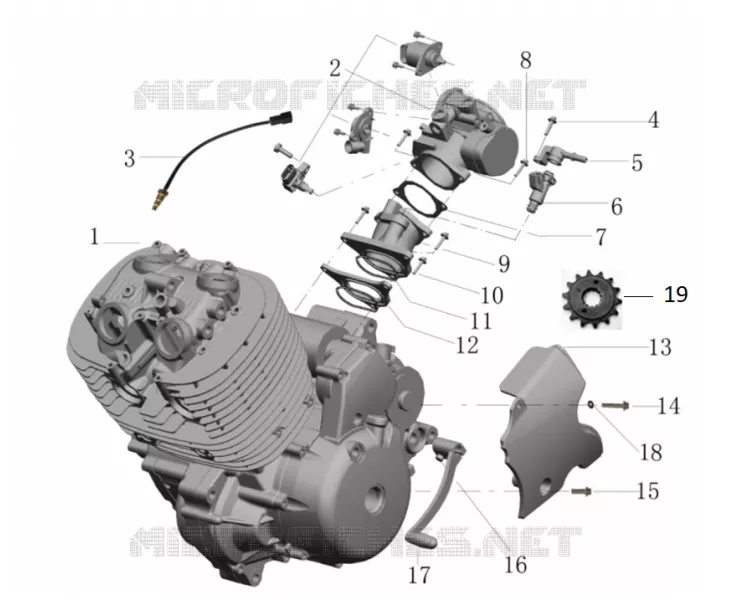MOTOR / INJECTION / GEAR CHANGE PEDAL
