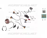TAIL LIGHT / HEADLIGHT / INDICATORS