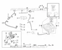 TANK / THROTTLE BODY