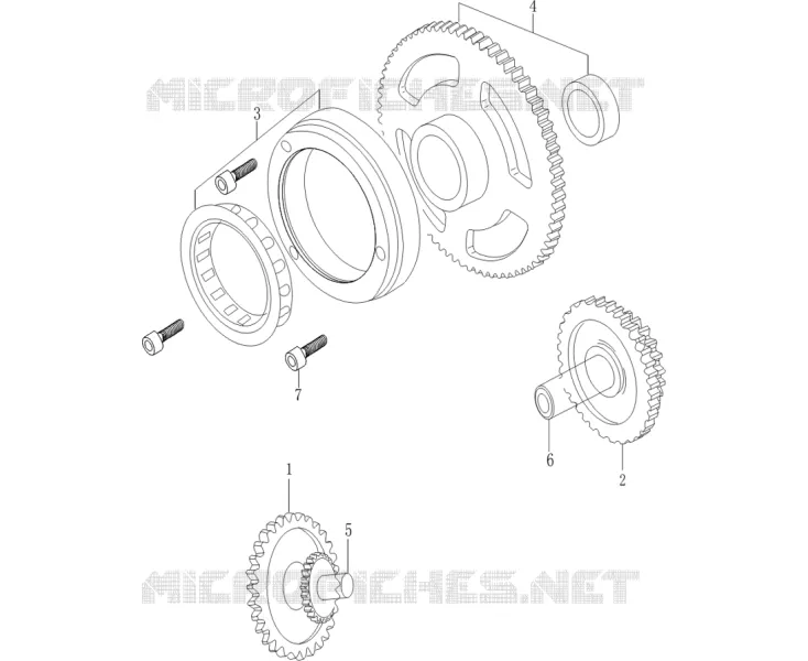 FREEWHEEL