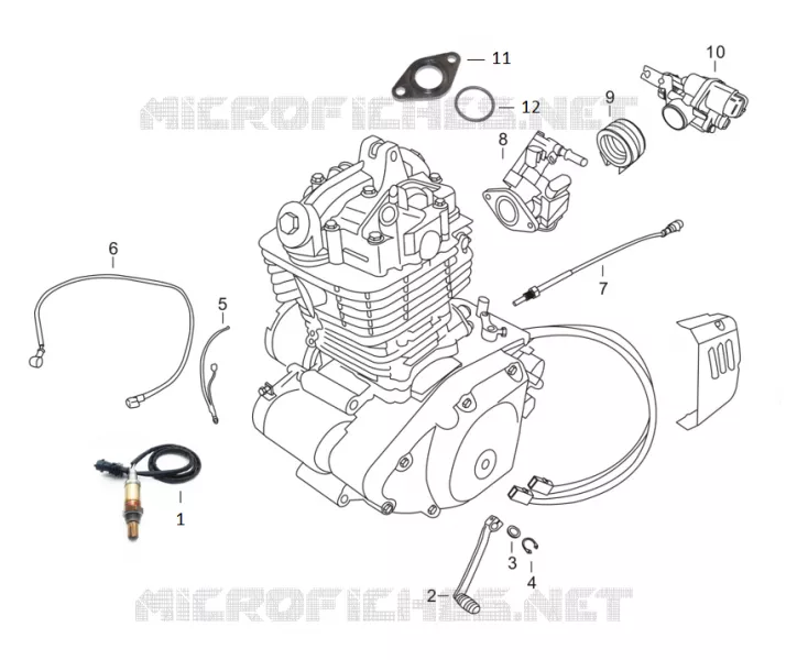 THROTTLE BODY / GEAR CHANGE PEDAL