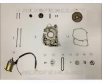 STARTER MOTOR / OIL PUMP