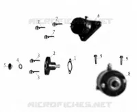 STARTER MOTOR / TIMING