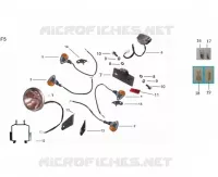 TAIL LIGHT / HEADLIGHT / INDICATORS