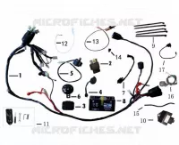 WIRING HARNESS