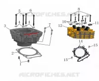 CYLINDER / HEAD