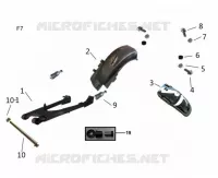 SWINGARM / REAR MUDGUARD