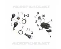 STARTER MOTOR / TIMING