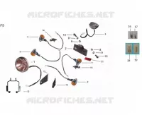 TAIL LIGHT / HEADLIGHT / INDICATORS