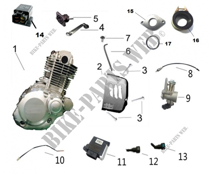 ENGINE COMPONENTS for Mash TWO FIFTY EURO 4 2018