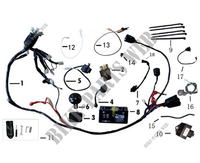 WIRING HARNESS for Mash CITY CRUISE 50 (4T) 2020