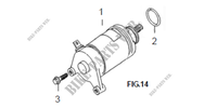 STARTER MOTOR for Mash TWO FIFTY 2015